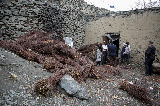 ارغوان بافی 