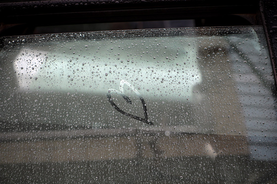 بارش باران در مشهد