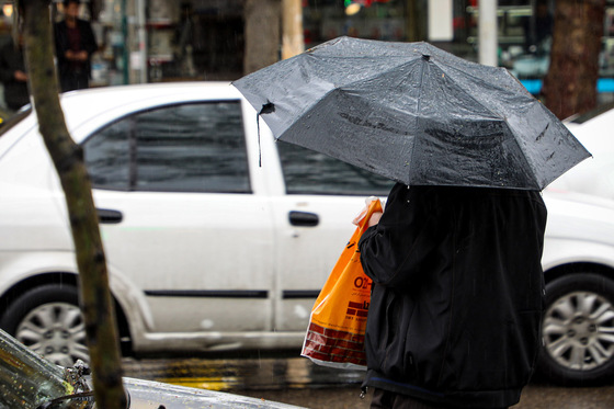 بارش باران در مشهد