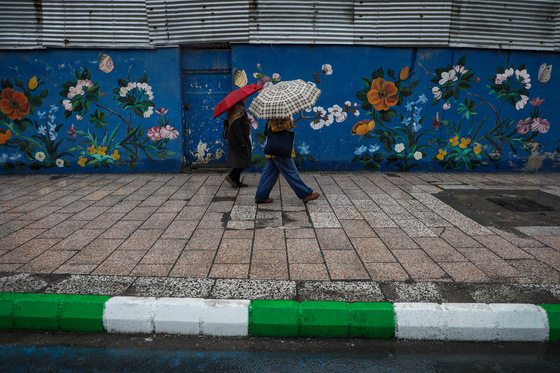 بارش باران در مشهد