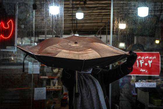 بارش باران در مشهد