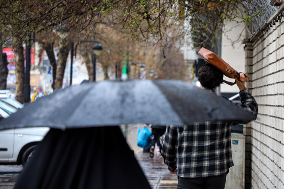 بارش باران در مشهد