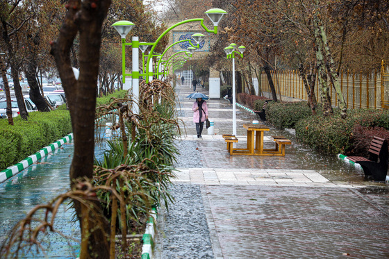 بارش باران در مشهد