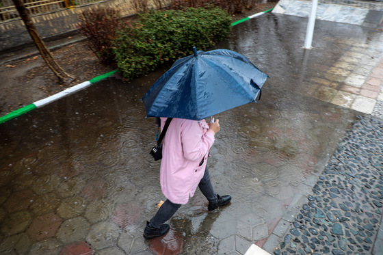 بارش باران در مشهد