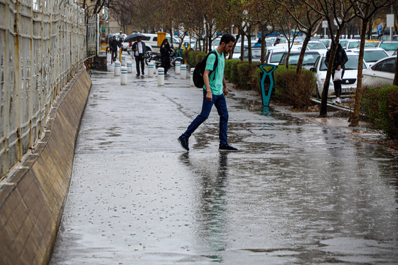 بارش باران در مشهد