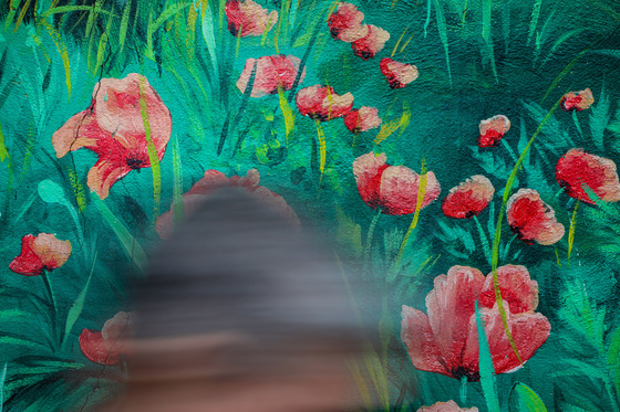 بارش باران در مشهد