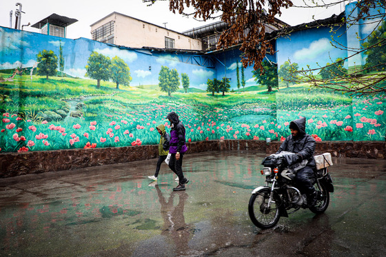 بارش باران در مشهد