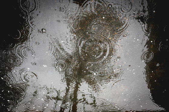 بارش باران در مشهد