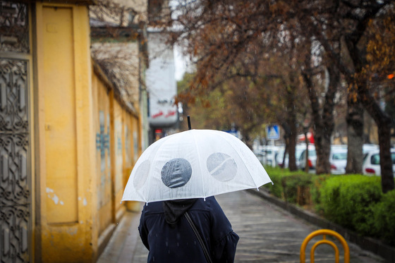 بارش باران در مشهد