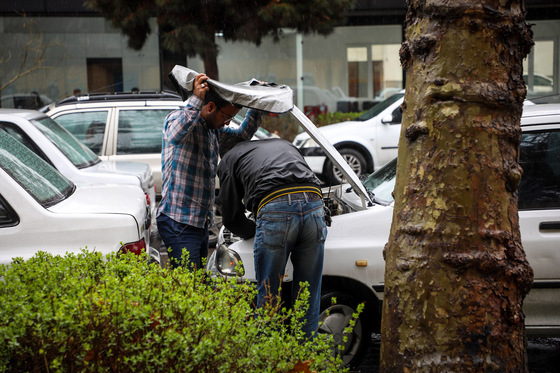 بارش باران در مشهد