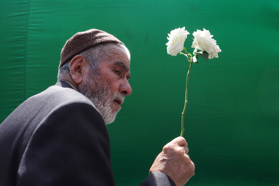 گلباران حرم مطهر رضوی