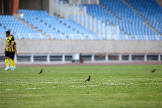 لیگ دسته‌سوم فوتبال | مسابقه شادکام مشهد و عقاب تهران