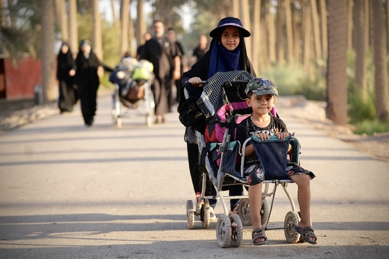 زائران پیاده در مسیر کربلا