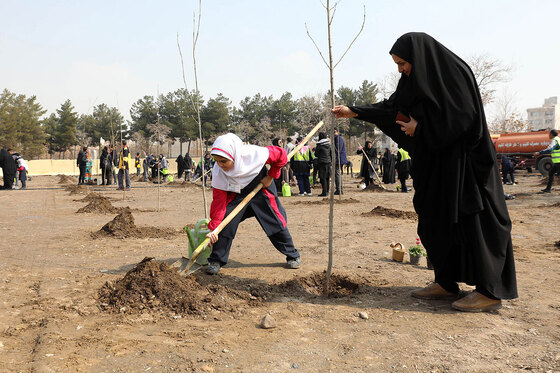 پویش سراسری درختکاری