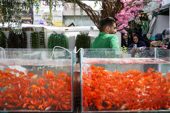 حال و هوای بازار گل در آستانه عید نوروز