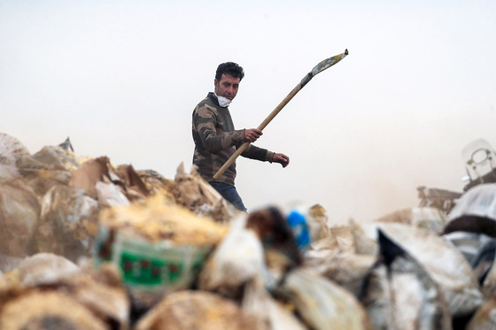 امحاء کالاهای معدومی سازمان اموال تملیکی‎‎