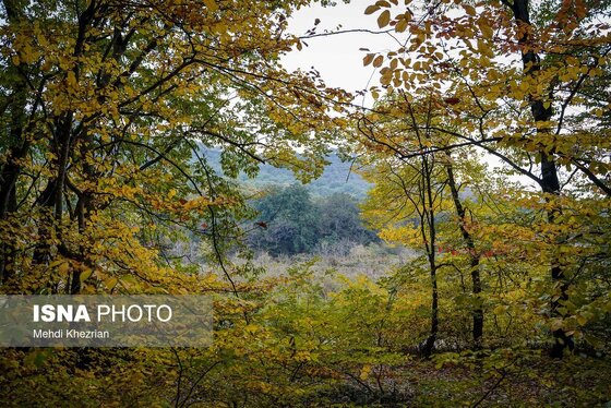 گزارش تصویری | پاییز در النگ دره