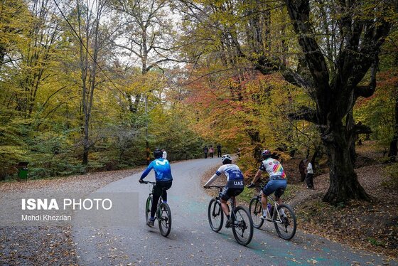گزارش تصویری | پاییز در النگ دره