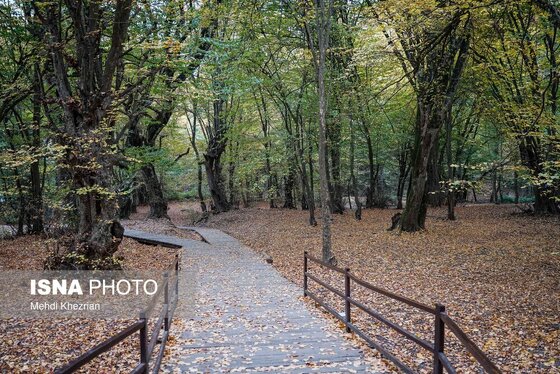 گزارش تصویری | پاییز در النگ دره