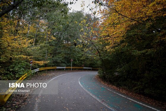 گزارش تصویری | پاییز در النگ دره