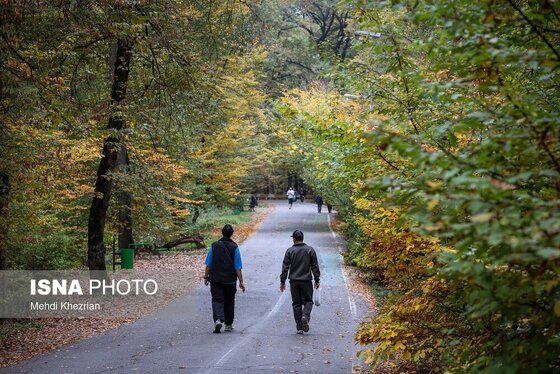 گزارش تصویری | پاییز در النگ دره