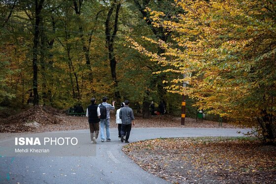 گزارش تصویری | پاییز در النگ دره