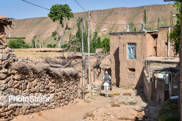 تصاویری از روستای حاجی بیگی