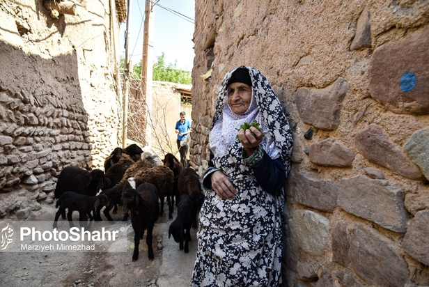 تصاویری از روستای حاجی بیگی