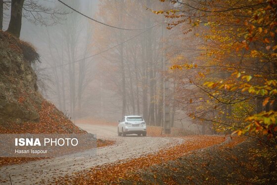 ایران زیباست | پاییز در سوادکوه
