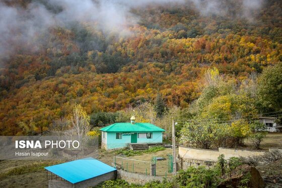 ایران زیباست | پاییز در سوادکوه