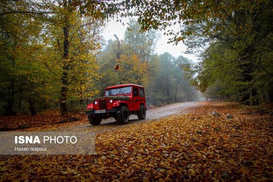 ایران زیباست | پاییز در سوادکوه