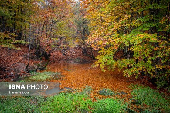 ایران زیباست | پاییز در سوادکوه