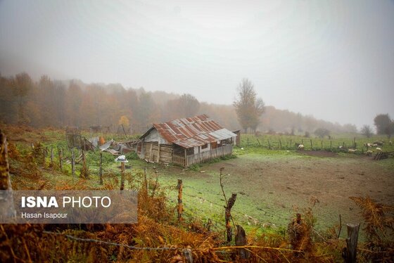 ایران زیباست | پاییز در سوادکوه