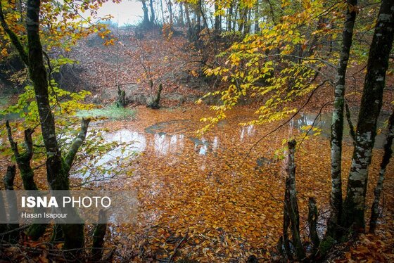 ایران زیباست | پاییز در سوادکوه