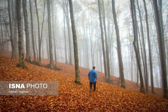 ایران زیباست | پاییز در سوادکوه