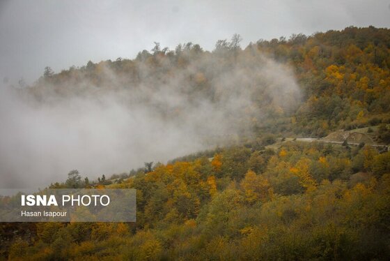 ایران زیباست | پاییز در سوادکوه