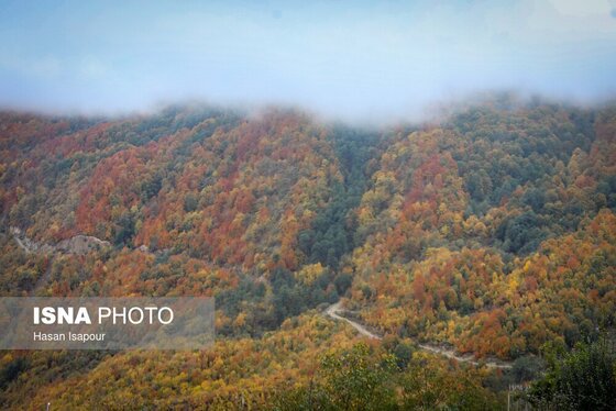 ایران زیباست | پاییز در سوادکوه