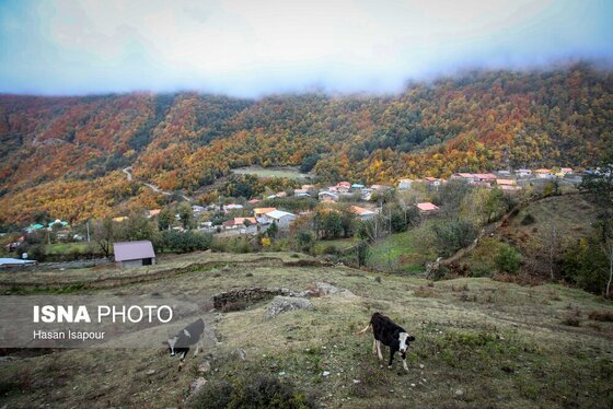 ایران زیباست | پاییز در سوادکوه