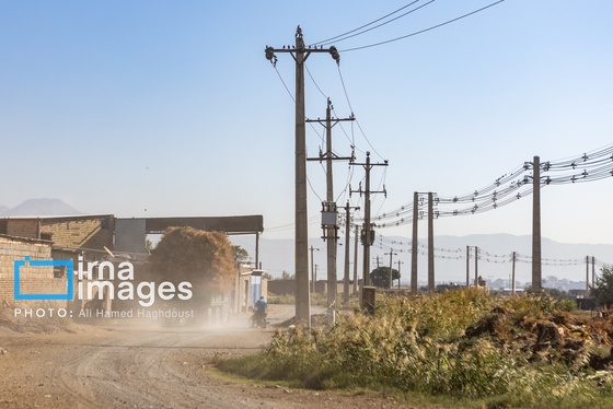 گزارش تصویری | جاروی سنتی قَرامَلِک