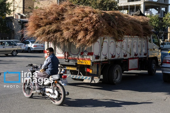 گزارش تصویری | جاروی سنتی قَرامَلِک