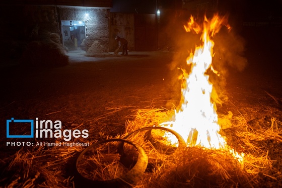 گزارش تصویری | جاروی سنتی قَرامَلِک