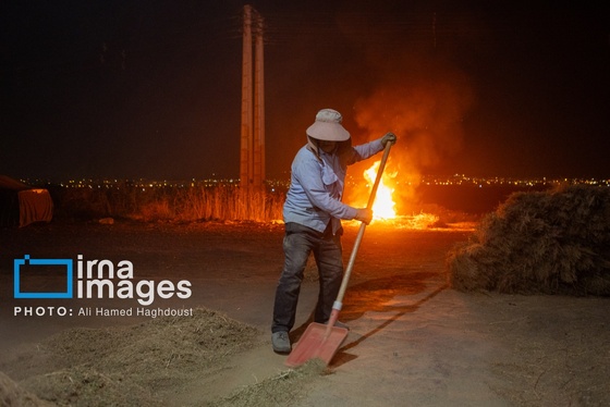 گزارش تصویری | جاروی سنتی قَرامَلِک