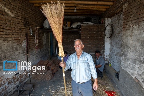 گزارش تصویری | جاروی سنتی قَرامَلِک