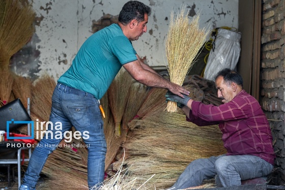 گزارش تصویری | جاروی سنتی قَرامَلِک