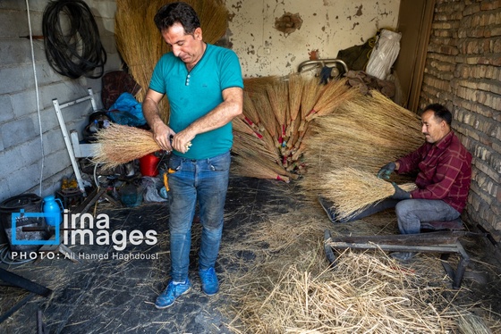 گزارش تصویری | جاروی سنتی قَرامَلِک