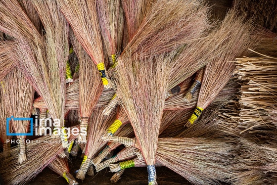 گزارش تصویری | جاروی سنتی قَرامَلِک