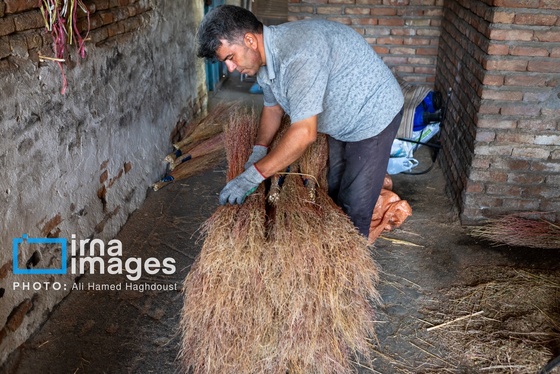 گزارش تصویری | جاروی سنتی قَرامَلِک