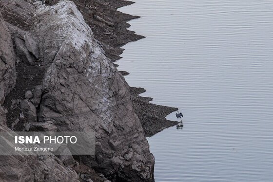 گزارش تصویری | روزهای تشنه سد لتیان