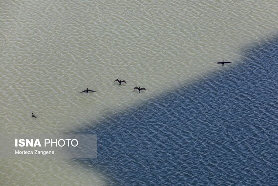 گزارش تصویری | روزهای تشنه سد لتیان