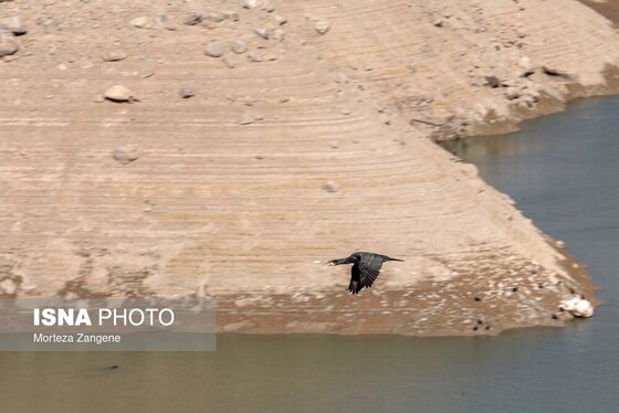 گزارش تصویری | روزهای تشنه سد لتیان